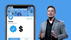 Twitter Might Soon 'Verify' Your Account For a Monthly Fee; Will The Blue Tick Lose Relevance?