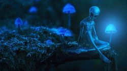 Are Scientists Prepping For Humankind’s First Extraterrestrial Contact?