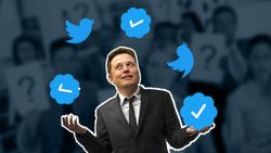 Twitter Blue Isn't Scrapped, Hints Musk: Revised Subscription To Rival ‘Official’ Label?