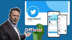 Elon Musk Dumps 'Official' Label: What Does Twitter Blue Checkmark Mean Now? Elon Musk Dumps 'Official' Label: What Does Twitter Blue Checkmark Mean Now?