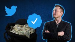 Twitter's New Verification Plan Leaked: Blue Tick Bundled With Subscription? Twitter's New Verification Plan Leaked: Blue Tick Bundled With Subscription?