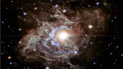 Here’s How The Space Celebrated Christmas