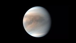 Search For Life Signs On Venus Goes In Vain; What It Means?