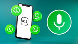WhatsApp on iOS Gets Voice Notes For Status Updates
