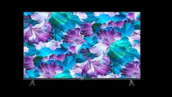 Elista Launches Google TV-Powered Smart LED TVs: Check Details