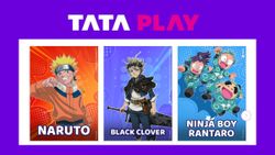 Tata Play Brings New Anime Service in Regional Languages: Check All the Details Here