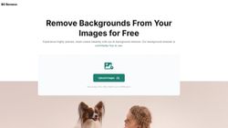 BG Remove: Why Choose This AI Background Remover?
