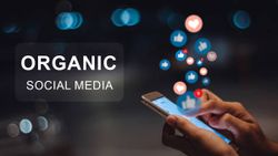 Tips for Growing an Organic Social Media Following Among Tech Enthusiasts