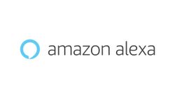 From Cricket Scores to Butter Chicken: What India Asked Alexa in 2024