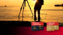 Western Digital Launches The World's Fastest 2TB SanDisk Extreme MicroSD Card For Creators in India