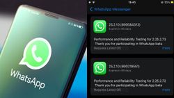 WhatsApp is Ending Support for These iPhones in the Coming Months: Everything You Need to Know