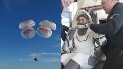 Sunita Williams and Butch Wilmore Safely Return to Earth; Here're How Musk and White House Reacted!