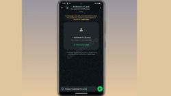 WhatsApp New Update: No Account? Chat as a Guest Now!