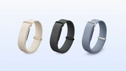 Google’s Whoop Rival Fitbit Air Is Here and It Costs Less Than Half as Much in India