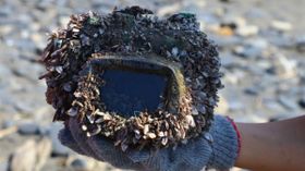 సముద్రంలో పోయిన కెమెరా, 2 ఏళ్ల తరువాత దొరికింది, పనితీరు అద్భుతం