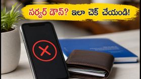 EPFO సర్వర్ డౌన్.. పీఎఫ్ బ్యాలెన్స్ కోసం కంగారు పడకండి! ఈ సింపుల్ ట్రిక్స్ ట్రై చేయండి!