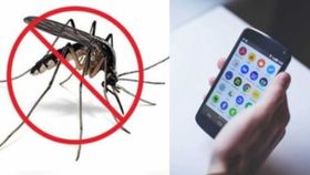 अब घर बैठे Feverphone App से चेक करें Dengue बुखार, यहां जानें सभी स्टेप्स अब घर बैठे Feverphone App से चेक करें Dengue बुखार, यहां जानें सभी स्टेप्स