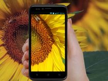 Flat 50% Off on these Budget Android Smartphones this MAKAR SANKRANTI AND LOHRI 2016 Flat 50% Off on these Budget Android Smartphones this MAKAR SANKRANTI AND LOHRI 2016