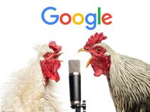Google's Newest Feature Will Delight Animal Lovers!