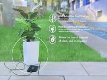 Now Turn Your Plant into a Charging Device: All You Need to Know Now Turn Your Plant into a Charging Device: All You Need to Know