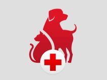 If You're A Dog Owner, These Essential Apps Are Exactly What You Need! If You're A Dog Owner, These Essential Apps Are Exactly What You Need!