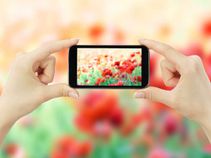 5 Camera Myths You Should Stop Believing Right Now 5 Camera Myths You Should Stop Believing Right Now