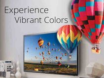 Zebronics 121cms ZEB-50LED TV launched for Rs 35,999: 5 Things you need to know Zebronics 121cms ZEB-50LED TV launched for Rs 35,999: 5 Things you need to know