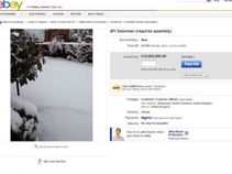 7 Weird Things Ever Listed on eBay for Sale 7 Weird Things Ever Listed on eBay for Sale
