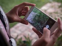 Capture a Crystal Clear Picture in Low Light With Your Google Pixel Smartphone Capture a Crystal Clear Picture in Low Light With Your Google Pixel Smartphone