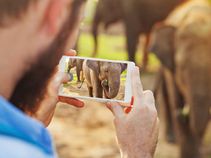 4 simple tricks for recording amazing videos with your Apple iPhone 4 simple tricks for recording amazing videos with your Apple iPhone