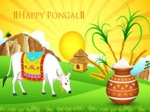 Smartphones that are available for purchase this Pongal at Upto 40% discount Smartphones that are available for purchase this Pongal at Upto 40% discount