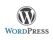 Top 5 essential Wordpress Plug-ins of all time 