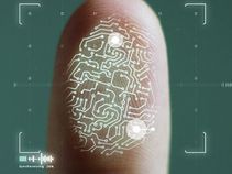Fingerprint scanners: How it works and what happens during a scan Fingerprint scanners: How it works and what happens during a scan