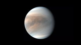 Search For Life Signs On Venus Goes In Vain; What It Means? Search For Life Signs On Venus Goes In Vain; What It Means?