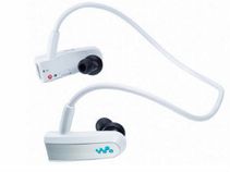 ಸಂಗೀತ ಪ್ರೇಮಿಯನ್ನು ಅರಸಿ ಬಂದ ಸೋನಿ