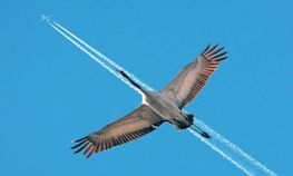 ವಿಶ್ವದ ಟಾಪ್‌ 10 ಚಿತ್ರಗಳು ಇಲ್ಲಿವೆ ನೋಡಿ