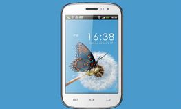 ಸೆಲ್ಕಾನ್‌ನಿಂದ ಹೊಸ ಜೆಲ್ಲಿಬೀನ್‌ ಸ್ಮಾರ್ಟ್‌ಫೋನ್‌ ಬಿಡುಗಡೆ