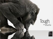 ಖರೀದಿಸಿ ಸ್ಕ್ರಾಚೇ ಆಗದ ಟಾಪ್ 10 ಗೋರಿಲ್ಲಾ ಗ್ಲಾಸ್ ಫೋನ್ಸ್