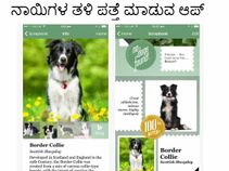 ನಾಯಿಗಳ ತಳಿ ಕಂಡುಹಿಡಿಯಲು ಮೊಬೈಲ್‌ ಆಪ್‌