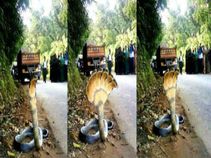 ನಂಬಿದ್ರೆ ನಂಬಿ ಬಿಟ್ರೆ ಬಿಡಿ ಇದಂತೂ ನಿಜವಂತೆ!