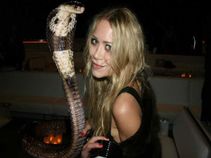 ಇಂತಹ ಸೆಲ್ಫಿಗಳನ್ನು ನೀವು ಖಂಡಿತ ಪ್ರಯತ್ನಿಸಬೇಡಿ!!!