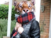 ಇಂಟರ್ನೆಟ್‌ನಲ್ಲಿ ವೈರಲ್‌ ಆದ ಹುಲಿ ಯಾವುದು ಗೊತ್ತಾ?