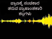 ಪ್ರಾಣಕ್ಕೆ ಸಂಚಕಾರ ತರುವ ಪ್ರಾಣಾಂತಕಾರಿ ಶಬ್ಧಗಳು