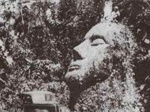 ಭೂಮಿಗೆ ಭೇಟಿ ಕೊಟ್ಟ ಏಲಿಯನ್‌ಗಳ ಮರಣ ರಹಸ್ಯ