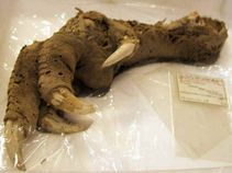 ಈ ರಹಸ್ಯ ತಾಣಗಳು ಭೂಮಿಯ ಮೇಲೆ ಇದ್ದಿದ್ದು ಹೌದು