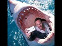 ಪ್ರಾಣದ ಹಂಗು ತೊರೆದು ಸೆಲ್ಫಿ ಸ್ಪರ್ಧೆಗೆ ಸಜ್ಜಾದವರು!!!