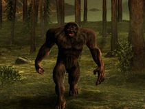 ಉತ್ತರವೇ ದೊರಕದೇ ಇಂದಿಗೂ ಕಾಡುತ್ತಿರುವ ಪ್ರಶ್ನೆಗಳು