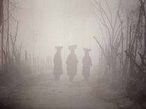 ಅಚ್ಚರಿ: ಮಂಜಿನಲ್ಲಿ ಮುಸುಕಿದ ಅದ್ಭುತ ಫೋಟೋಗಳು