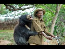 ಸಾಮಾಜಿಕ ತಾಣದಲ್ಲಿ ವೈರಲ್ ಆದ ಭಾರತದ ಕ್ರೇಜಿ ಜಗತ್ತಿನ ಫೋಟೋಗಳು