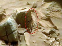 ಮಂಗಳನ ಅಂಗಳದಲ್ಲಿ ಕಂಡುಬಂತು ವಿಚಿತ್ರ ಜೀವಿ